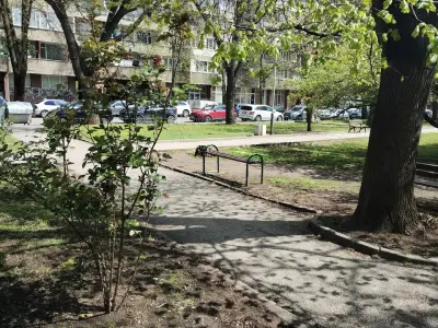 Срастналото дърво
