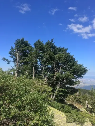Еко пътека към с. Жeлезница