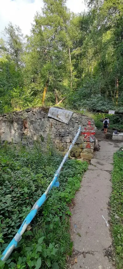 Горските джакузита