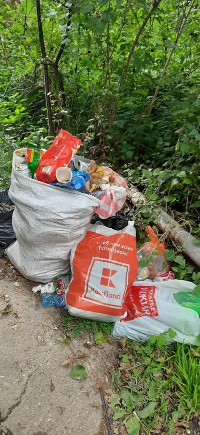 Горските джакузита