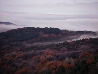 Панорамна гледка към село Цар Калоян