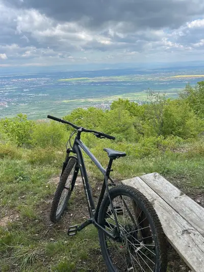 Пейка на гледка