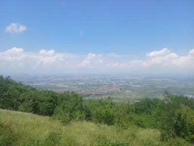 Пейка на гледка