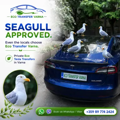 Eco Transfer Varna