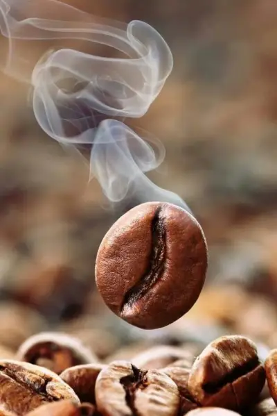 Caffe Stefanini BG