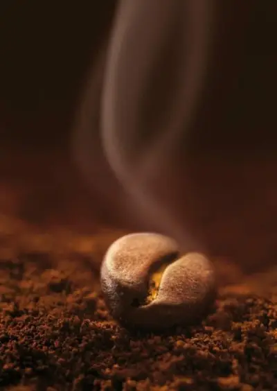 Caffe Stefanini BG