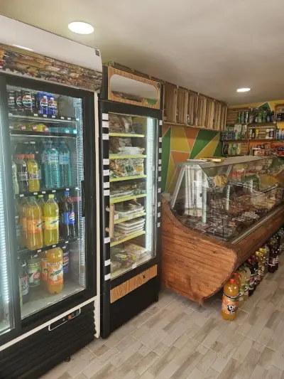 Магазинът на семейство Георгиеви