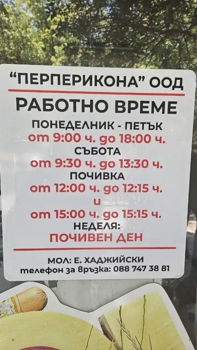 Родопчанка млечни продукти