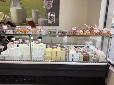 Магазини Мандра Маноле