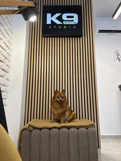 k9 pawfect care studio
