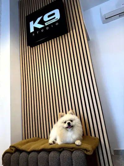 k9 pawfect care studio