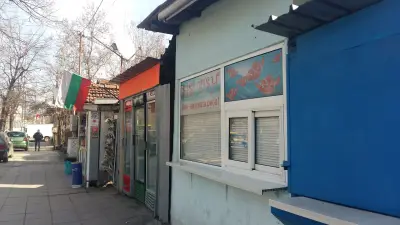 Сиси Фиш