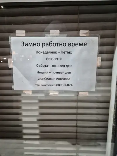 Сиси Фиш