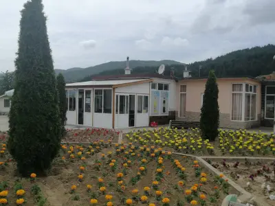 Скарата на Мустафа