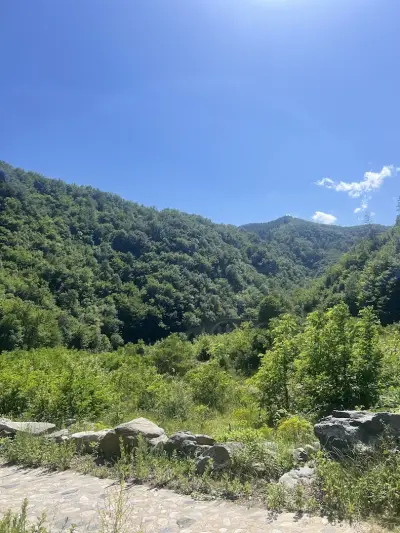 Скарата на "Шери"