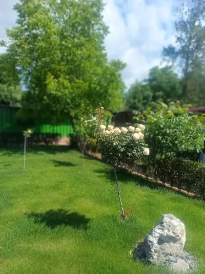 Ресторант Каците