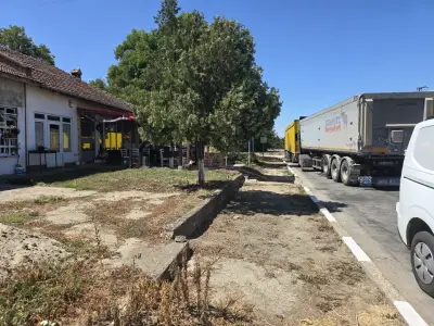 Под Старият бор