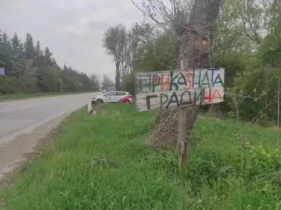 Petar Trifonov REAL ESTATE