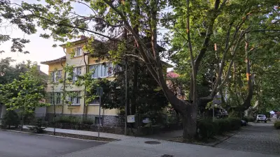 Алеята с чинарите