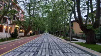 Алеята с чинарите