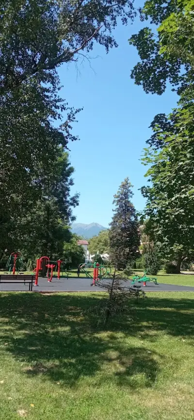 Алеята с чинарите