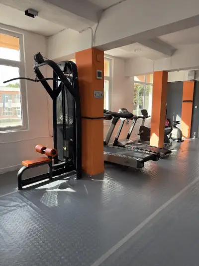 Alpha Fit Dzhebel