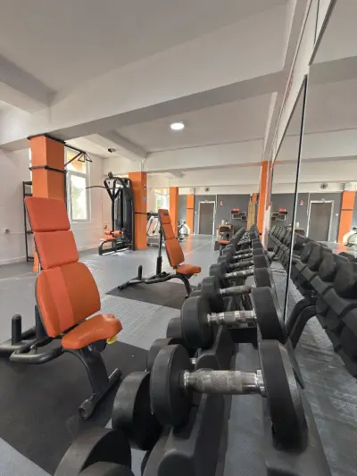 Alpha Fit Dzhebel