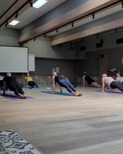 Omkar Yoga Vidin