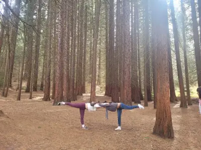 Omkar Yoga Vidin
