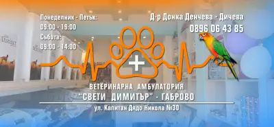 Ветеринарна амбулатория "Свети Димитър"