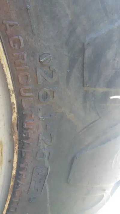 Petrol Oil