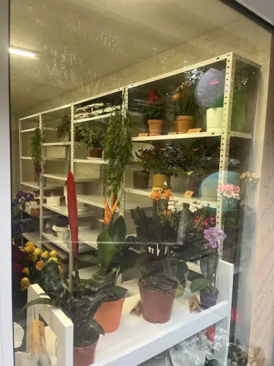 Цветята на зайчето/The Bunny’s Flowers