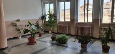 СМДЛ Рамус ООД