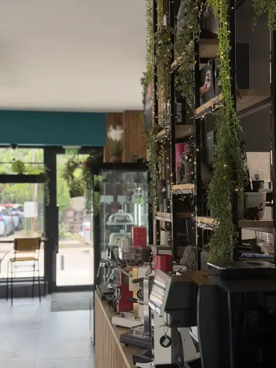 New Coffee World - Mogilata 17