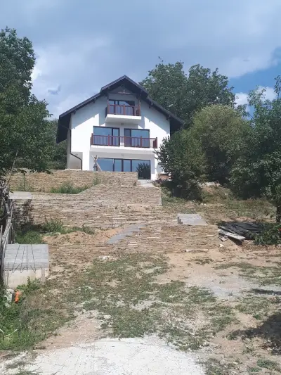 Вили Оазис
