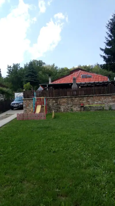 Вили Оазис