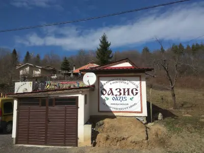 Вили Оазис