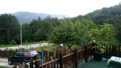 Вили Оазис
