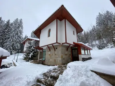 Pamporovo Cottage Savov