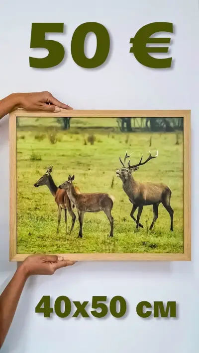 ФотоГалерия - гр. Смолян