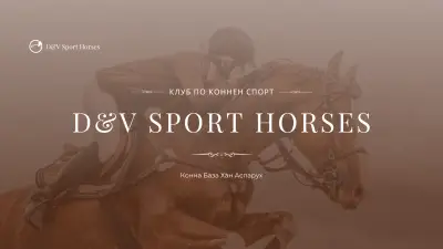 D&V Sport Horses