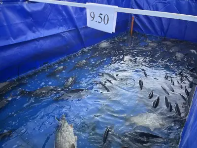 Рибна борса “Royal Fish”