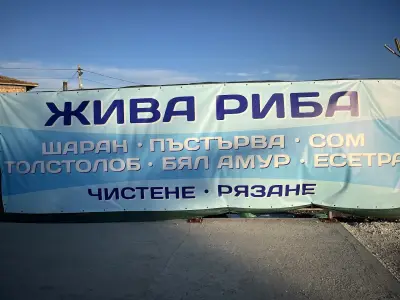 Рибна борса “Royal Fish”
