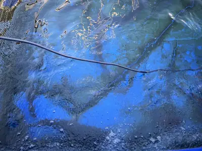 Рибна борса “Royal Fish”