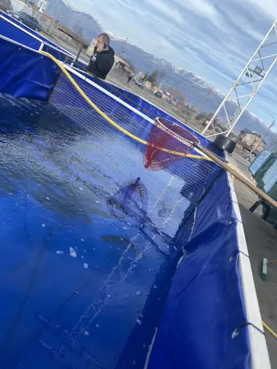 Рибна борса “Royal Fish”