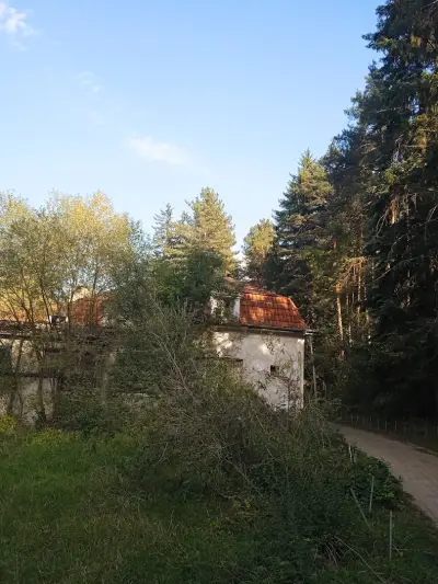 Вельова баня