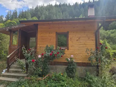 Беденски Бани
