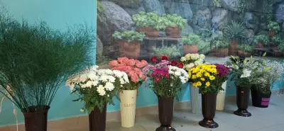 Бутик за цветя "Danny Flowers"