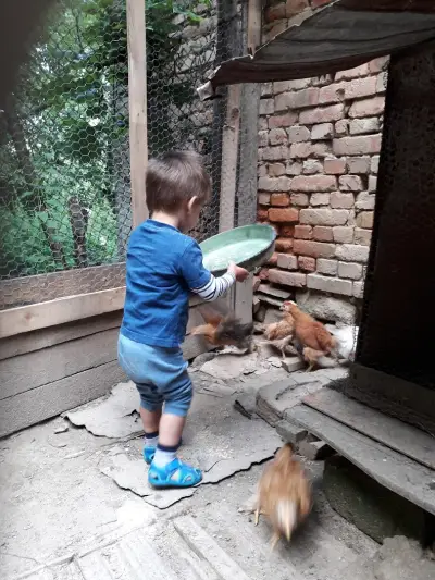 Петрол Габрово