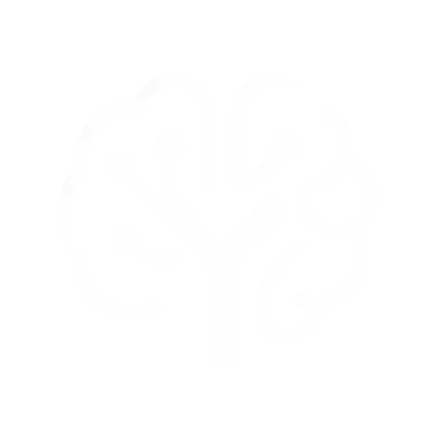 HyBrayn Ltd.